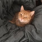 Jacob Duffy - @jazzcob123 - Instagram