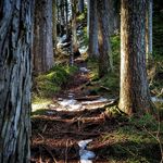 Jacob Duffy - @_jacob_duffy_ - Instagram