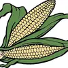 CORN On Da COB - @jacob_dugan516 - TikTok