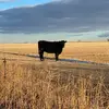 Jacob Dunning - @redeobrothers5311 - TikTok