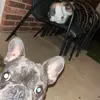 Jacob - @jacob.dunning - TikTok