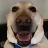 JB - @.jacobeck - TikTok