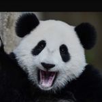Jacob Elam - @not_jacob_elam2.0 - Instagram