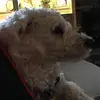 Jacob Elam - @jacobnelam123 - TikTok
