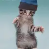 Jacob Eldred625 - @jacobeldred625 - TikTok