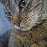 Jacob Elkins - @jacobelkins9040 - Instagram