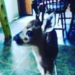 Jacob  Wayne Emerick - @jacobemerick79 - Instagram