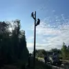 Jacob Emerick - @jacobemerick0 - TikTok