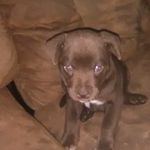 jacob emerick wayne - @jacobwayne9 - Instagram