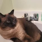 Jacob Enns - @ibrakefornoodles - Instagram