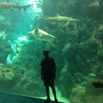 Jacob Eubanks - @06ragi - Instagram