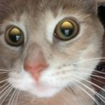 Jacob Evenson - @_jacob_evenson - Instagram