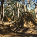 Jacob Everett - @everbikez - Instagram