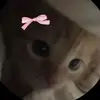 jacobeverett58 - @jacobeverett58 - TikTok