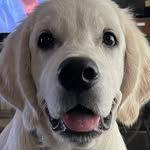 Jacob Farris - @jfarris_27 - Instagram