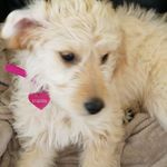 Jacob Faust - @jacob.faust.37 - Instagram