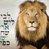 jacobfeingol - יעקב פיינגולגוד - @jacobfeingol - TikTok