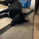 Jacob ferree - @jacob_ferree - Instagram
