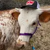 Jacob Ferrell - @river_cowboy - TikTok