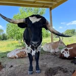 Jacob Ferrell - @the_river_cowboy - Instagram