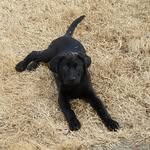 Jacob Feuerborn - @jacob_feuerborn29 - Instagram