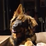 Sigrid Jacobfeuerborn - @sigridjacobfeuerborn - Instagram