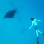 Jacob Fewtrell - @jacob_fewtrell - Instagram