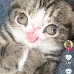 Jacob findley - @jacob_findley21 - Instagram