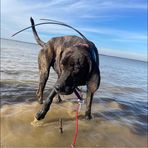 Jacob Findley - Facebook