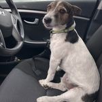 Jacob Firth - @jacobfirth2008 - Instagram