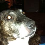 Jacob Firth - @firth_jacob - Instagram