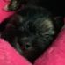 Jacob Flannery - Facebook