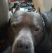 Jacob Fleener - Facebook