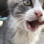 Jacob Flom - @user1234219058 - Instagram