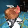 Jacob Florez - @jacob.florez1 - TikTok