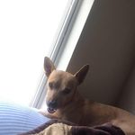 Jacob Folker - @folkerjacob - Instagram