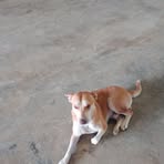 Jacob Fred - Facebook