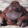 Jacob Frederick - @jacob..frederick - TikTok