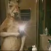 Jacob fulk - @jacob.fulk - TikTok