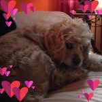 Cathy Jacob Gaffney - @ccruise_cjg - Instagram