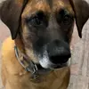 jacobgaffney - @jacob.gaffney - TikTok