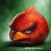 Jacob Gallo - Facebook