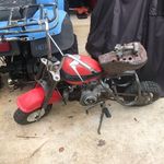 Jacob Gandy - @jacob_gandy1 - Instagram