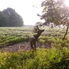 Jacob Gandy - @rawadventuresoutdoorz - TikTok