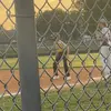 jacobmcgarrity - @jacobmcgarrity - TikTok