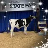 Jacobie Geiger - @jacobiegeiger - TikTok