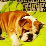 gerardo Jacob - @gerardojacob6 - Instagram