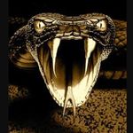 Jacob Gilliam - @gilliam9410 - Instagram