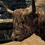 Jacob Gilliam - @mr.moo72 - Instagram