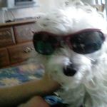 jacob gish - @jacobagish200 - Instagram